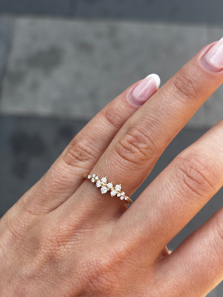 Frozen Dream Diamant Ring (Naturlig Diamant)